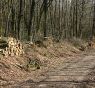 Affouage / Bois à fabriquer