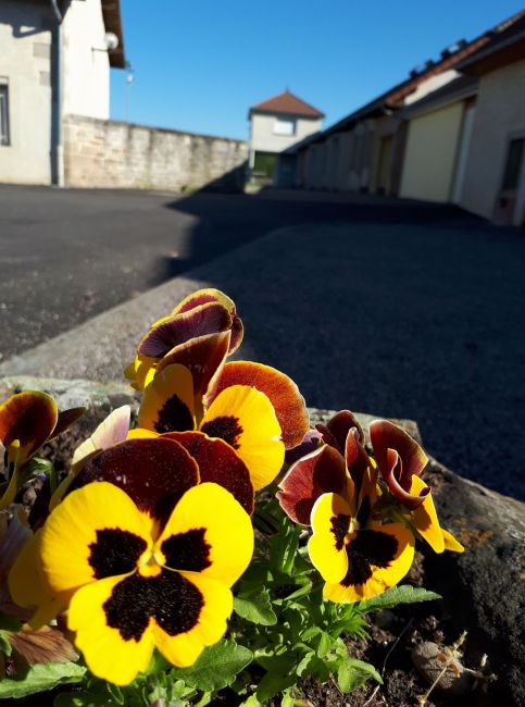 fleurs stade