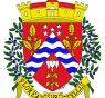 Histoire du Blason